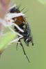 211576 – Photo : Didier Houbrechts – Belgique